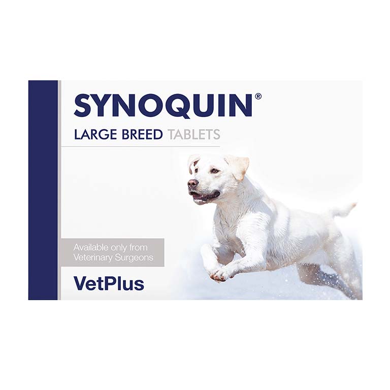 VETPLUS Synoquin Large Breed Tablets 120 TABLETS Standard — Pet Supplement available at VetPulse Veterinary Centre, Al Muwaileh Sharjah
