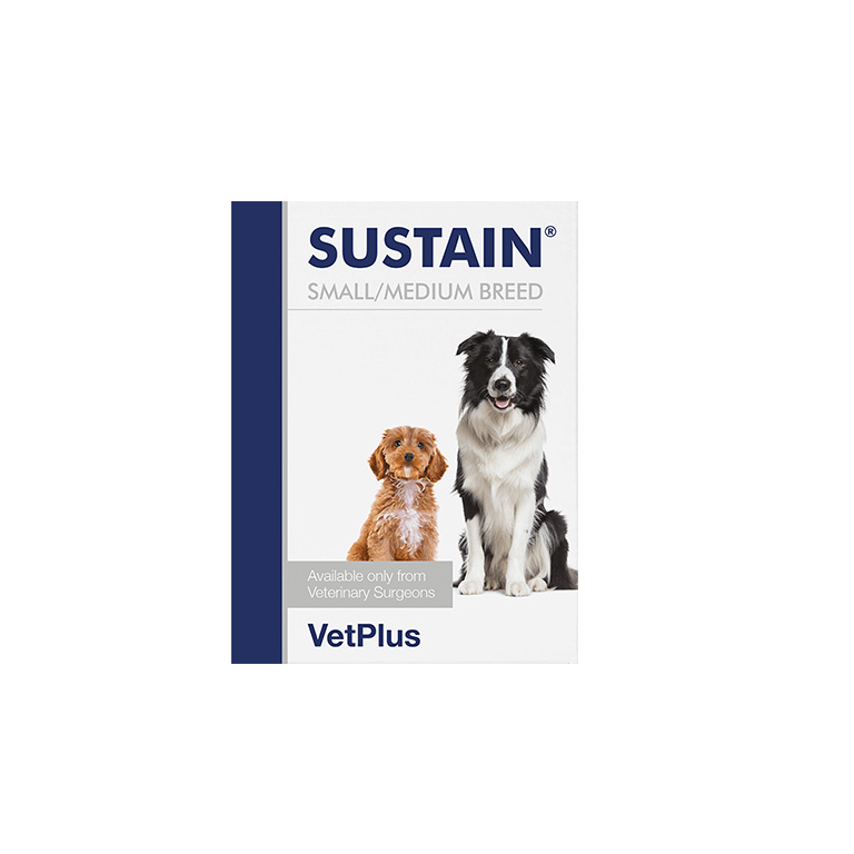 VETPLUS Sustain for Small & Medium Breed 30 SACHETS Standard — Pet Supplement available at VetPulse Veterinary Centre, Al Muwaileh Sharjah