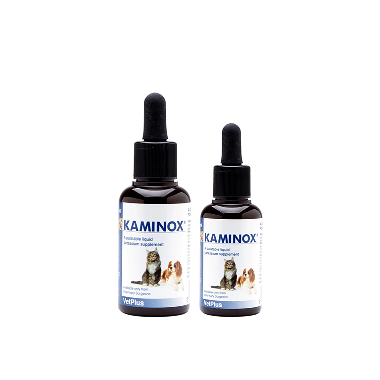 VETPLUS Kaminox (60ml) — Pet Supplement available at VetPulse Veterinary Centre, Al Muwaileh Sharjah