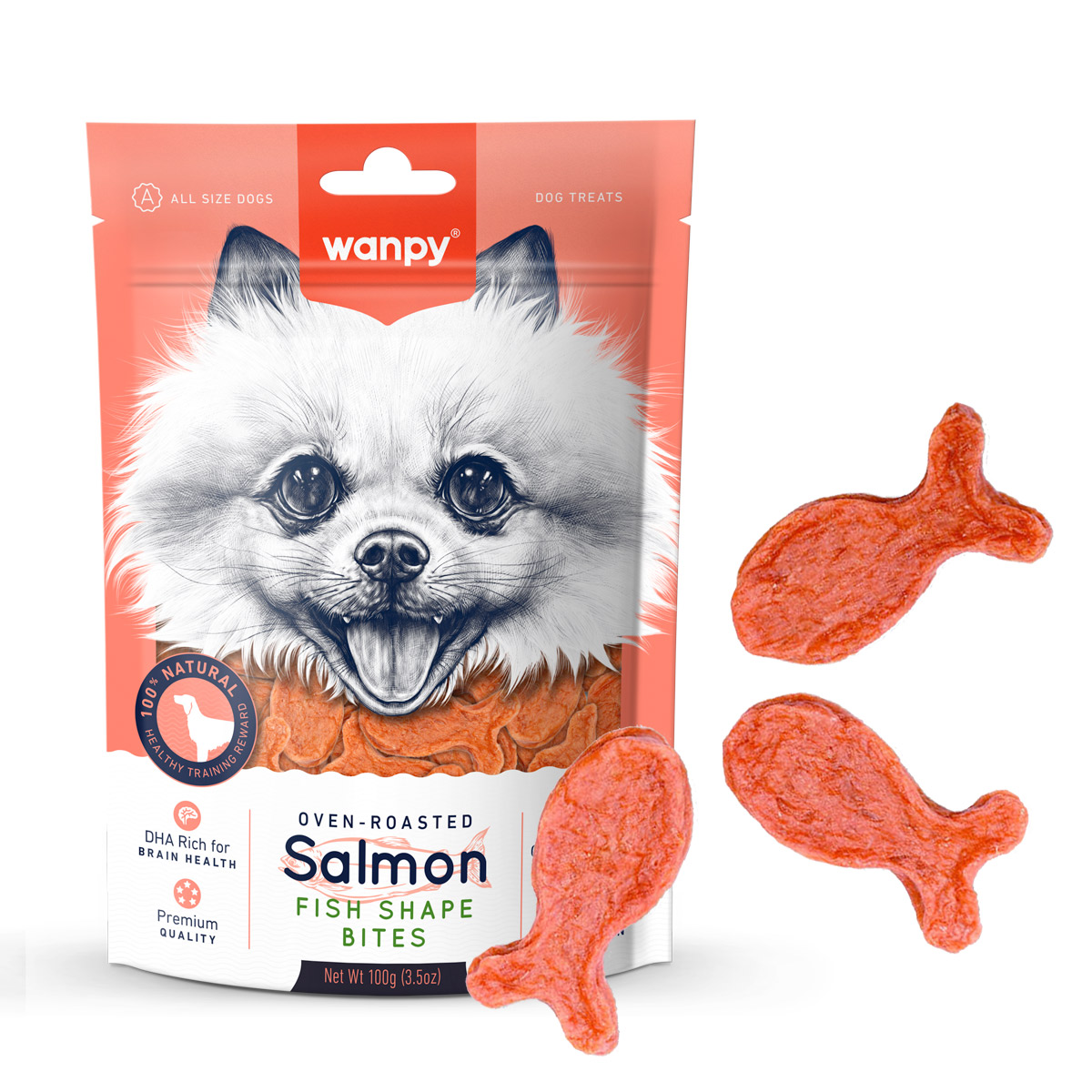 Wanpy Salmon Fish Shape Bites 100g — Dog Treats available at VetPulse Veterinary Centre, Al Muwaileh Sharjah