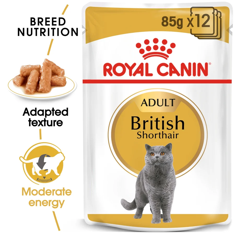 Royal Canin Feline Breed Nutrition British Shorthair (Wet Food - Pouches) 12 x 85 g 12 x 85g — Wet Cat Food available at VetPulse Veterinary Centre, Al Muwaileh Sharjah