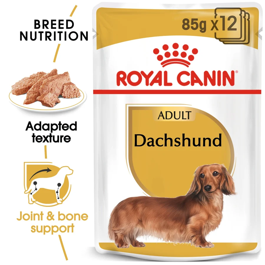 Royal Canin Breed Health Nutrition Dachshund Adult (Wet Food - Pouches) 12 x 85 g 12 x 85g — Wet Dog Food available at VetPulse Veterinary Centre, Al Muwaileh Sharjah