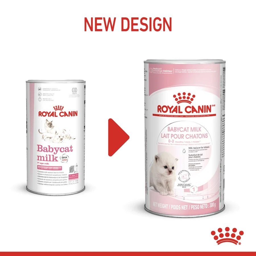 Royal Canin Feline Health Nutrition Babycat Milk 300 g — Cat Food available at VetPulse Veterinary Centre, Al Muwaileh Sharjah