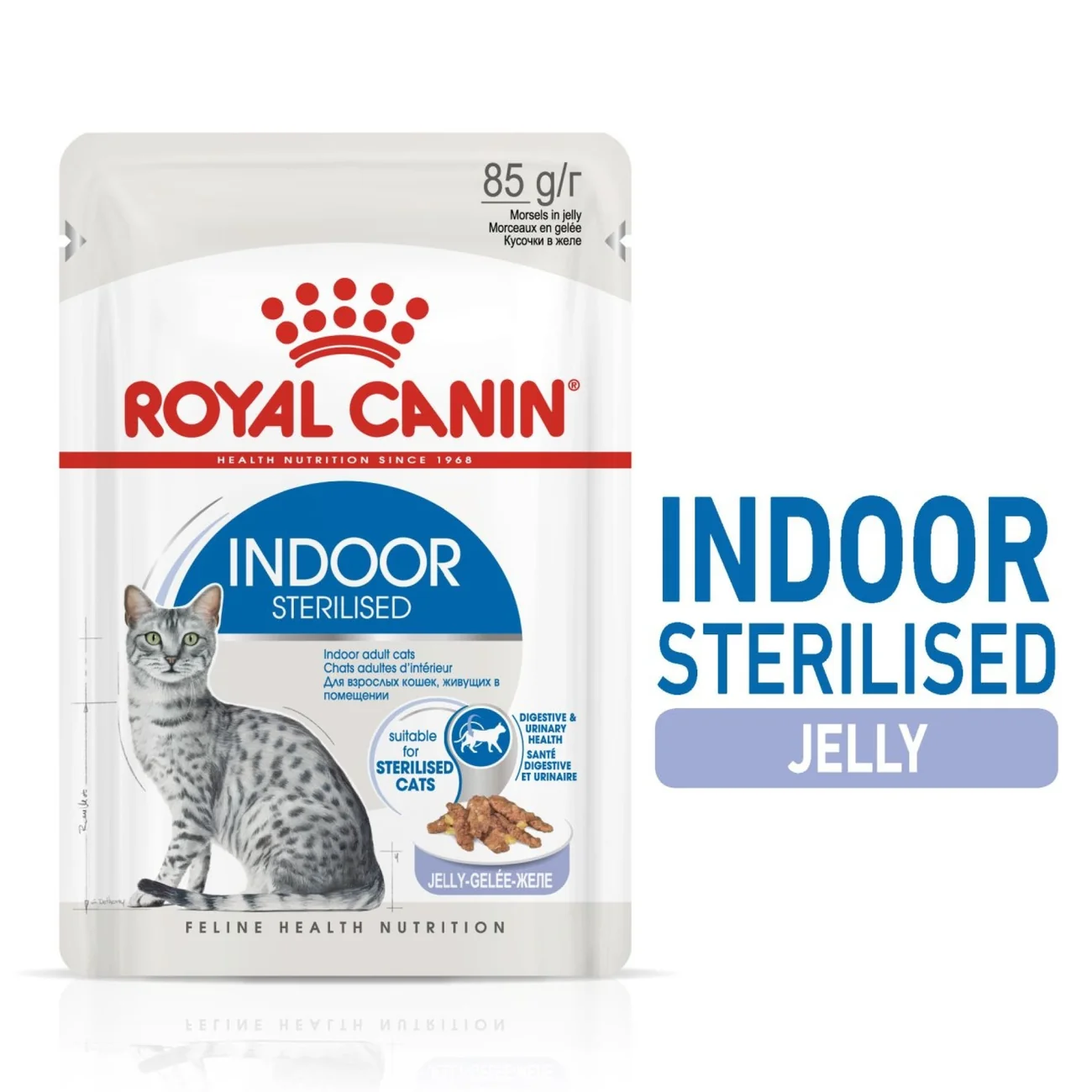 Royal Canin Feline Health Nutrition Indoor Jelly (Wet Food - Pouches) 12 x 85 g 12 x 85g — Wet Cat Food available at VetPulse Veterinary Centre, Al Muwaileh Sharjah